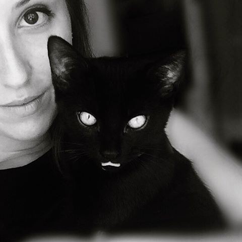 ravishing black cat