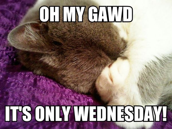 Funny Memes about Wednesday 4