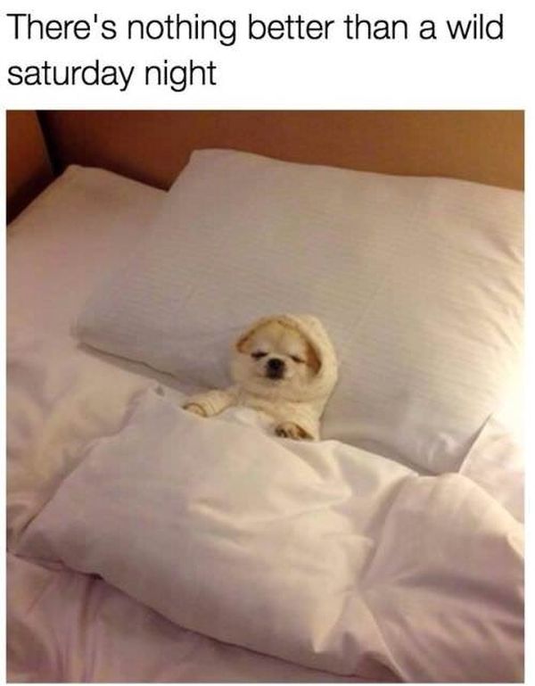 60 Best Happy Saturday Memes That Make You Smile