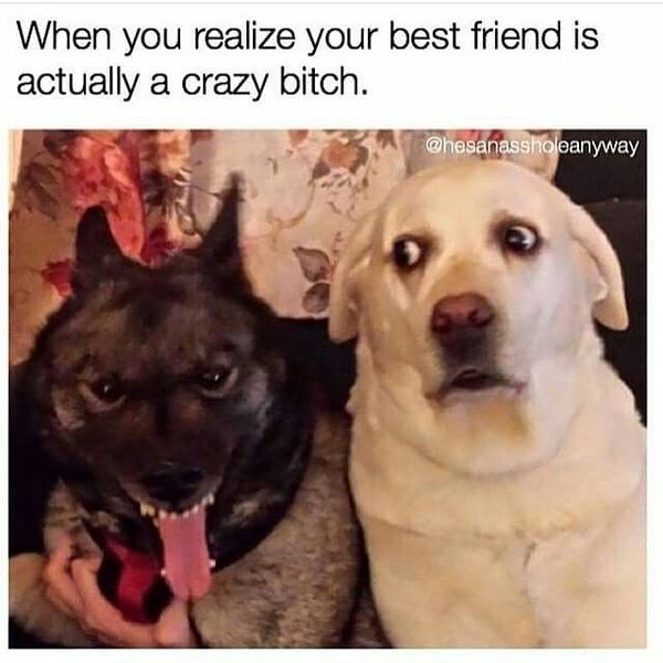 When you realize your best friend is actually a crazy bitch