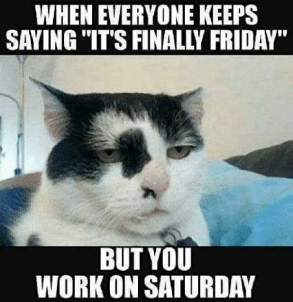 Best Saturday Work Quotes with Pictures
