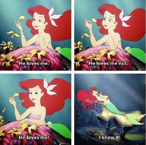 Ariel and guessing on a flower