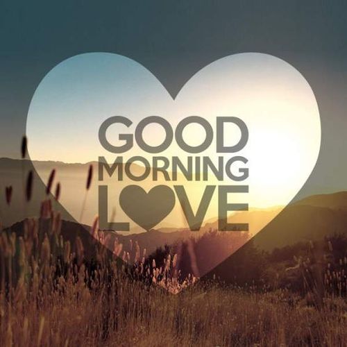 Featured image of post Good Morning My Love Images For Him / Good morning love wishes are the best way to make your love smile and also make her day complete.