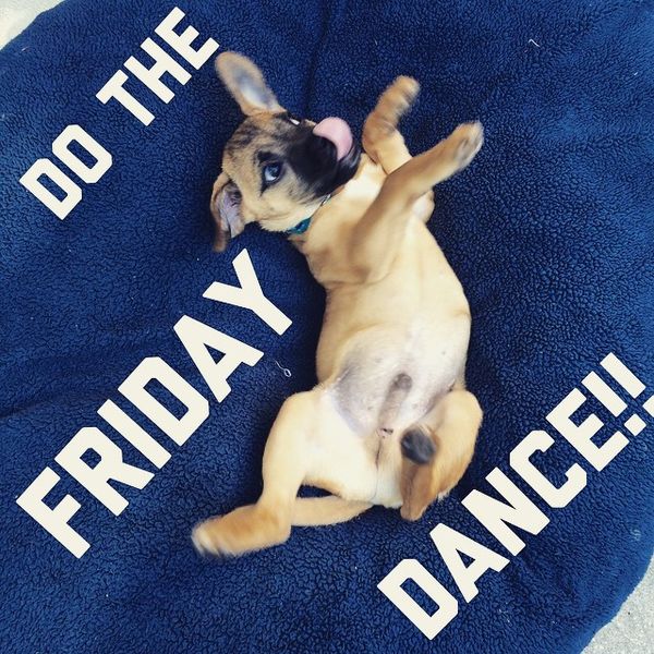 Do the friday dance