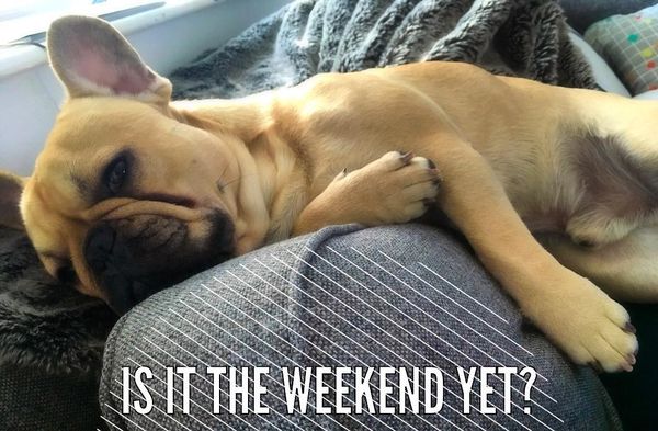 Is it the weekend yet