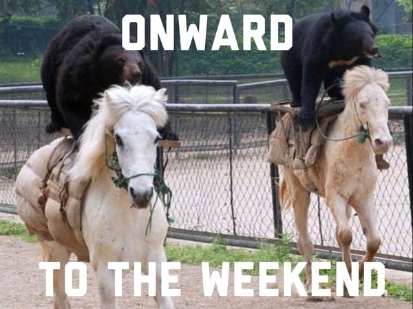 Onward to the weekend