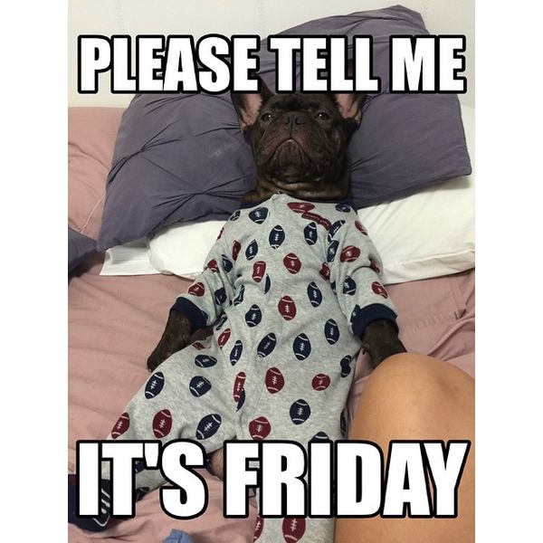 Please tell me its friday