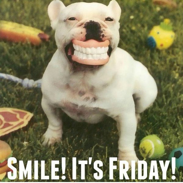 Smile its friday dog meme