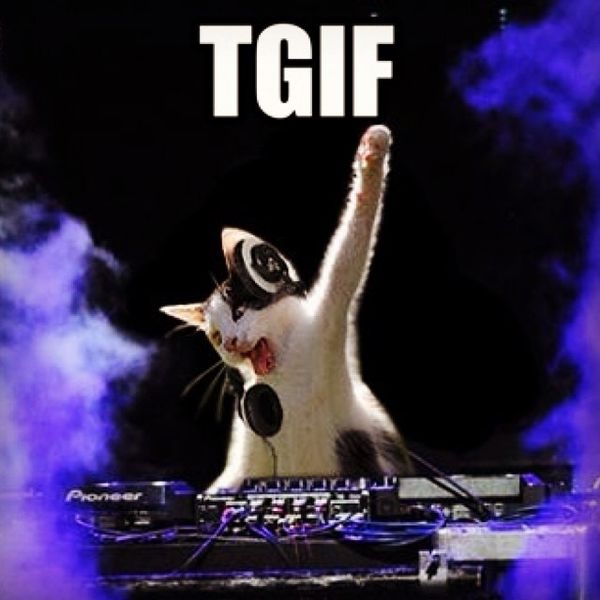 TGIF meme