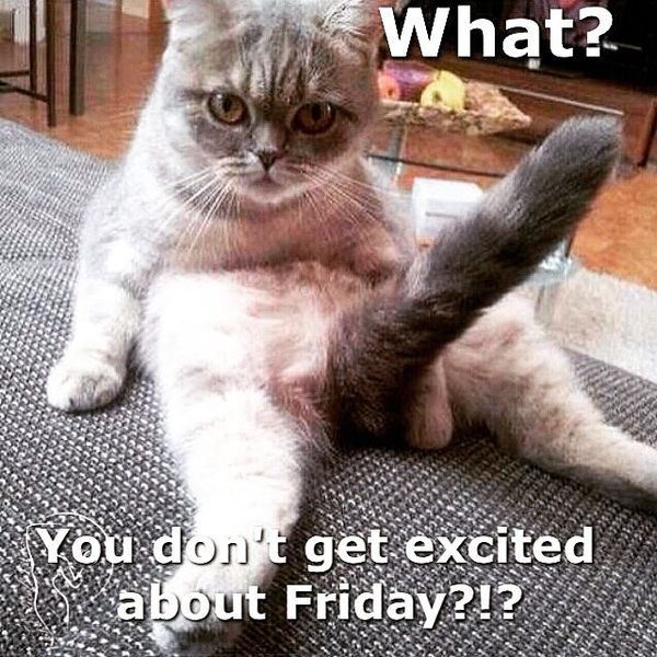 Wat you dont excited about friday