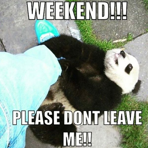 Weekend please dont leave me