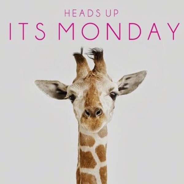 heads up its monday