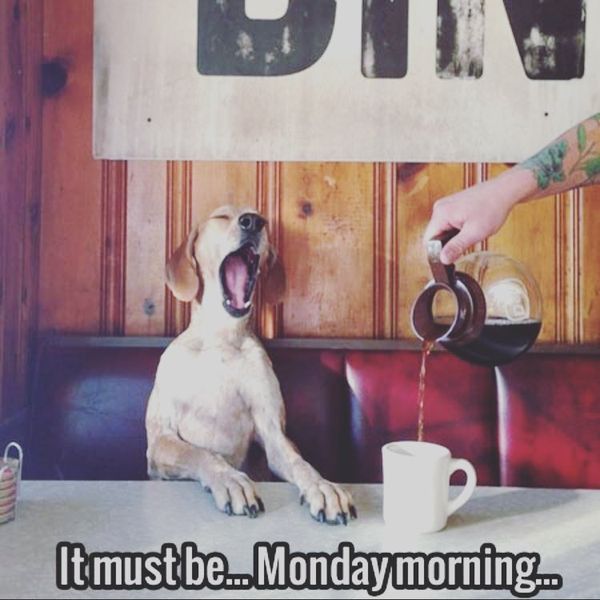 it must be monday morning