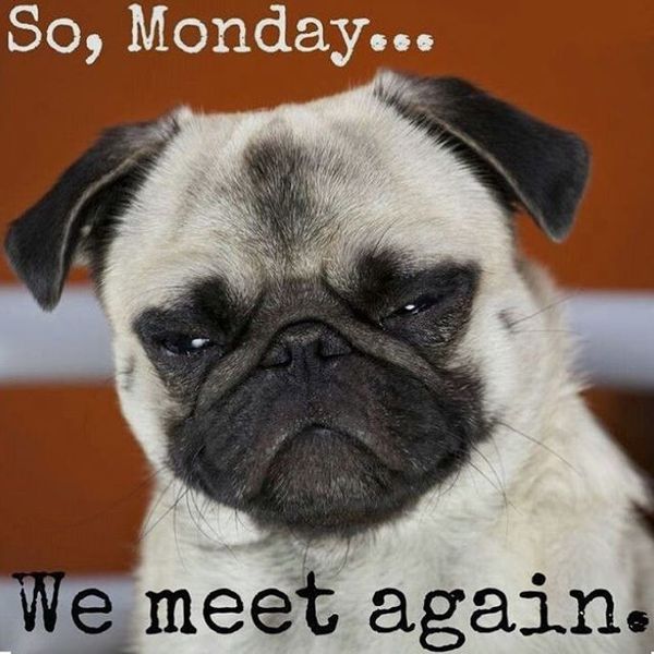 so monday we meet again