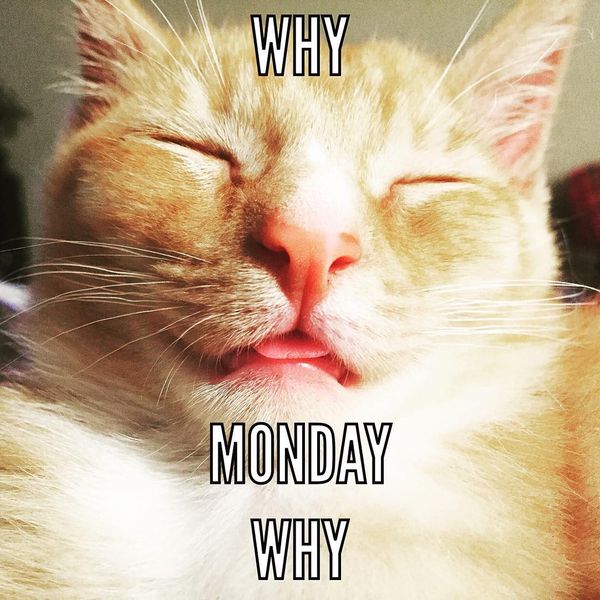 why monday why