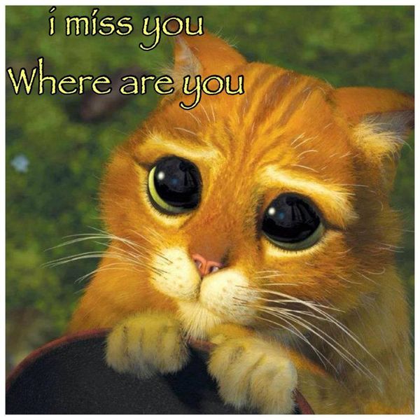 15 I Miss You Memes Sweetytextmessages