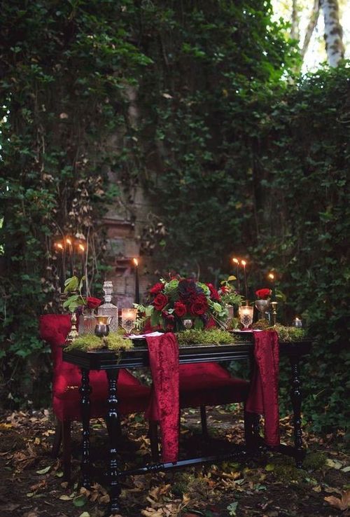 a romantic dinner in the forest