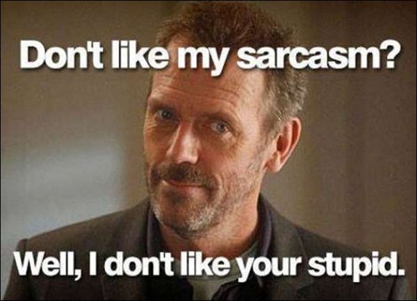 Don`t like my sarcasm? Well, I don`t like your stupid.