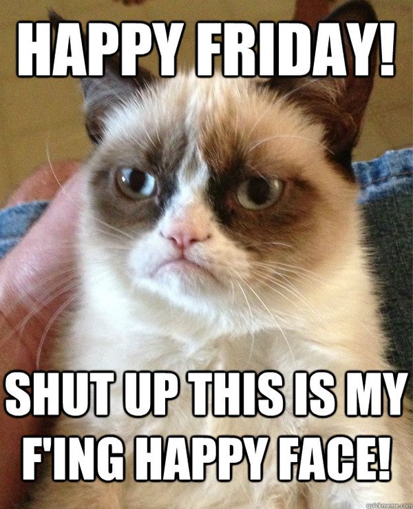 Terrific Funniest Friday Cat Meme