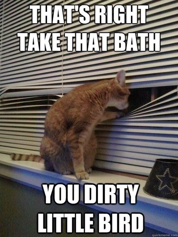 Awesome Funny Pet Memes