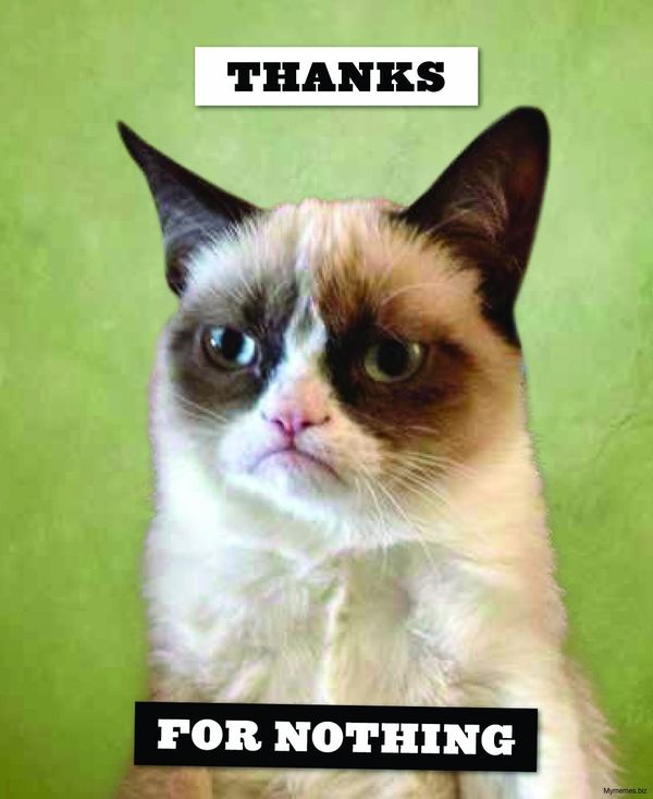 Thank You Cat Meme