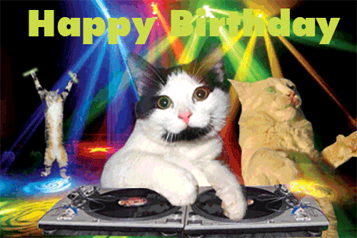 Happy Birthday Gif Ideas with Cat Images