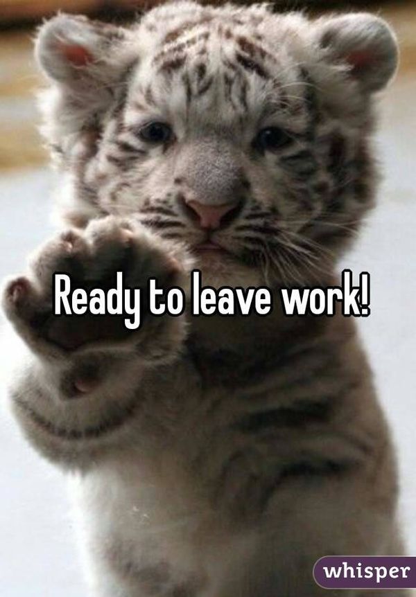 Cute Ready to Leave Work Meme