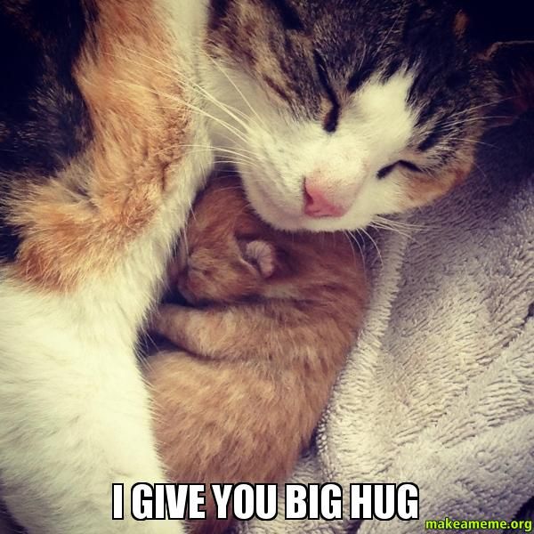 Superior big hug meme