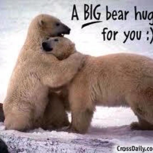 Superior funny hug images