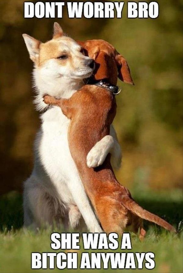 Great funny hug pics