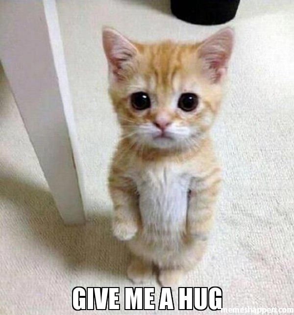 Amazing give me a hug meme