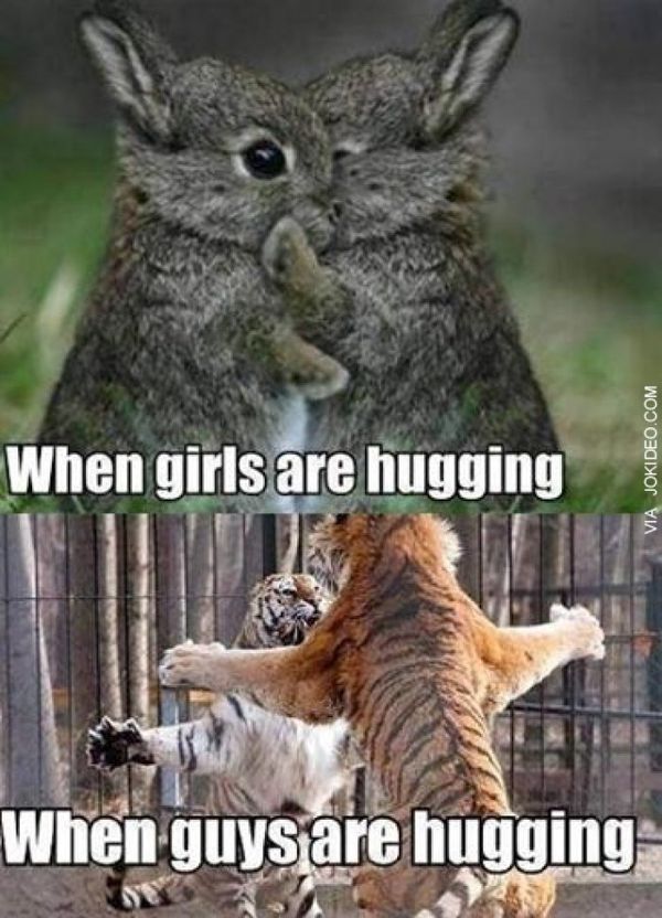 Cool hugging meme