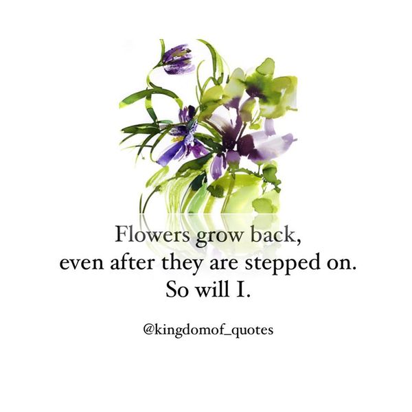 Flowers Grow Back, even after They are Stepped on.