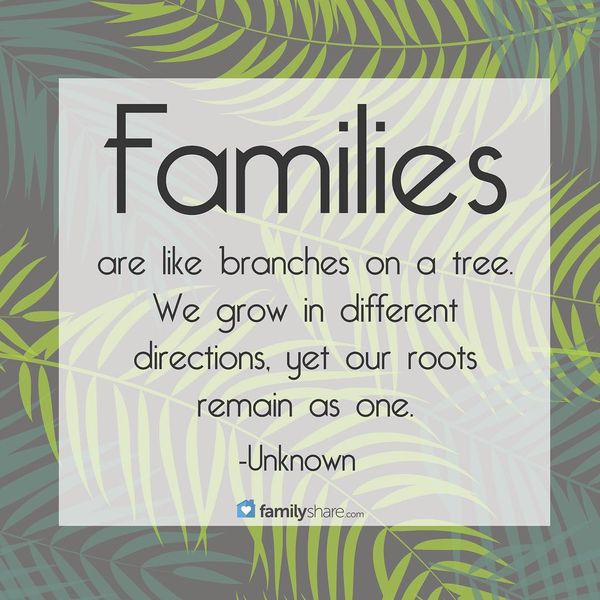Families are Like Brances on a Tree.
