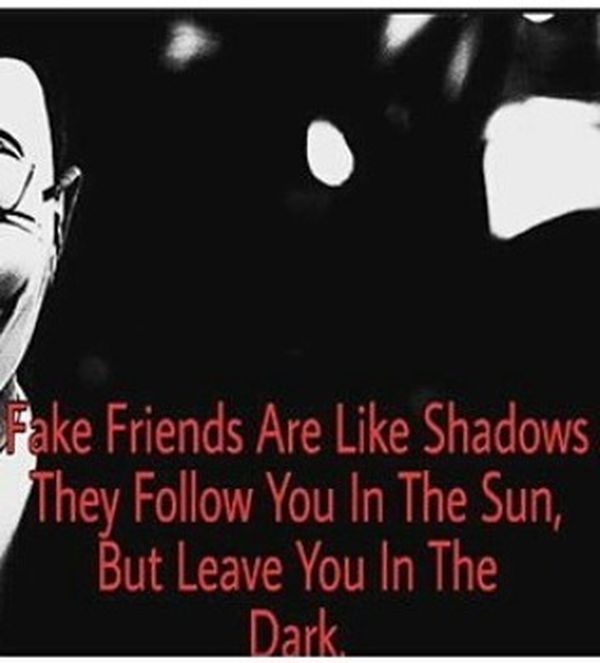 Fake Friends are Like Shadows They Follow You in the Sun...