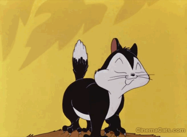 Amazing Gif Pictures of Cartoon Cat Characters