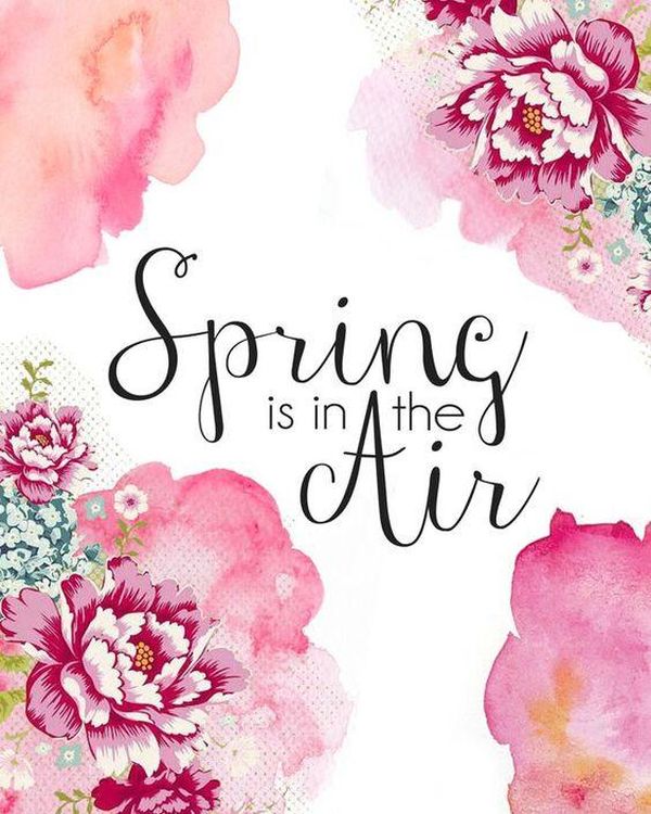 Spring in the Air