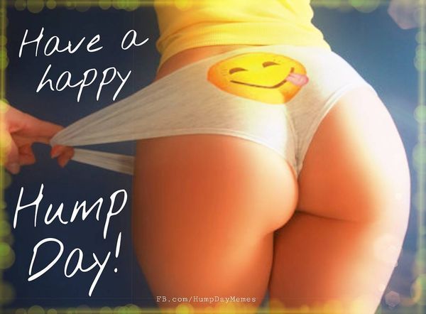 Cool Happy Hump Day Meme 4