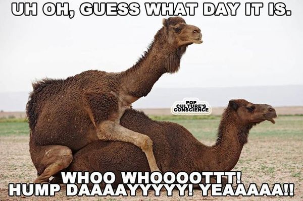 Dirty happy hump day pictures