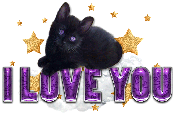 I Love You Gif for Your Kitten