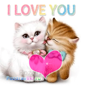 I Love You Gif for Your Kitten 2