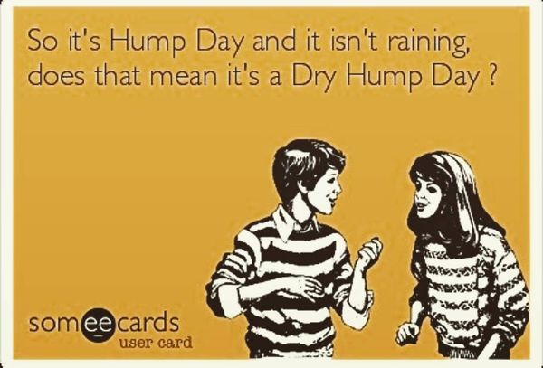 The Funniest Hump Day Images and Quotes 3