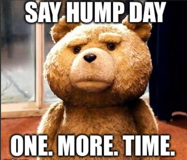 The Funniest Hump Day Images and Quotes 5