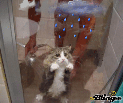 Touching Gif Pictures with Sad Kitty