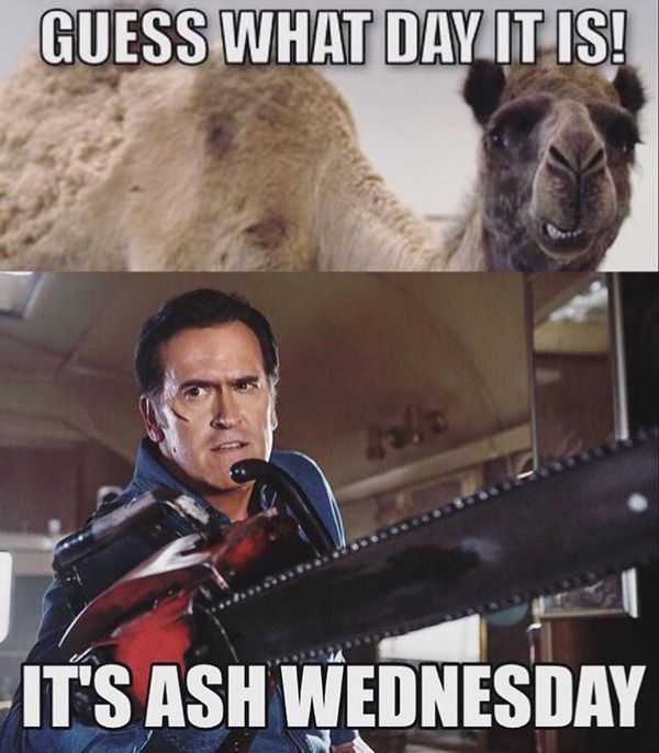 Wednesday Hump Day Funny Pictures 4