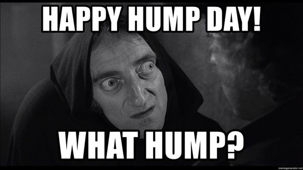 Featured image of post Good Morning Happy Hump Day Meme - The best gifs are on giphy.