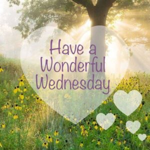 Best Happy Wednesday Quotes for Your Motivational