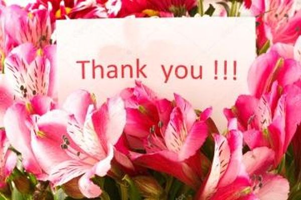 Amazing Colorful Thank You Images with Flowers 