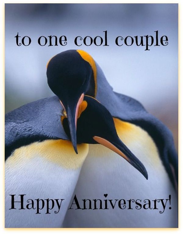 Happy Anniversary Funny Wishes 2