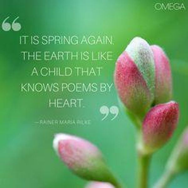 Life-Affirming Quotes to Celebrate the First Day of Spring